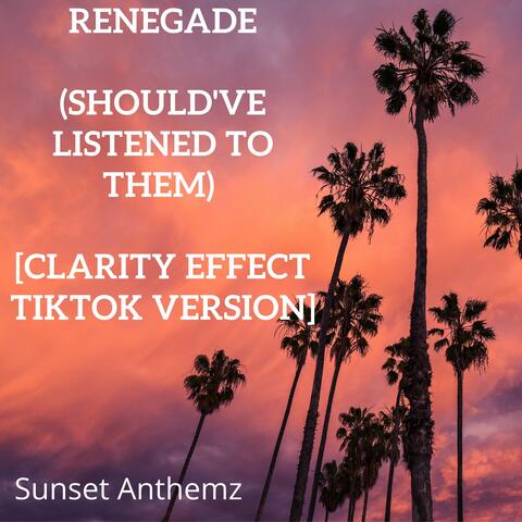 Renegade (should've listened to them) [Clarity Effect TikTok Version]