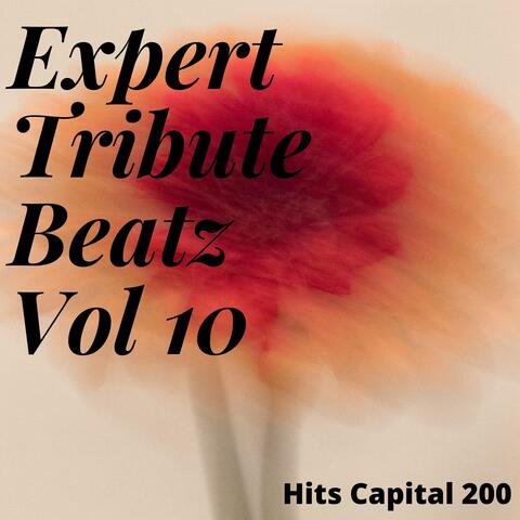 Expert Tribute Beatz Vol 10