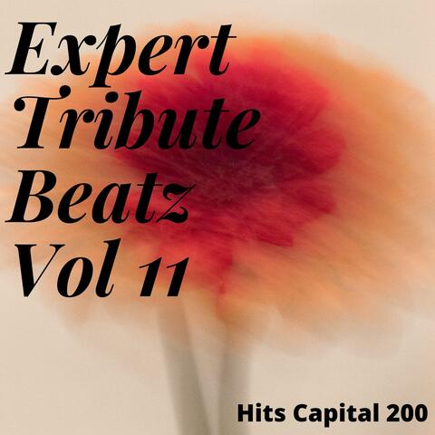 Expert Tribute Beatz Vol 11