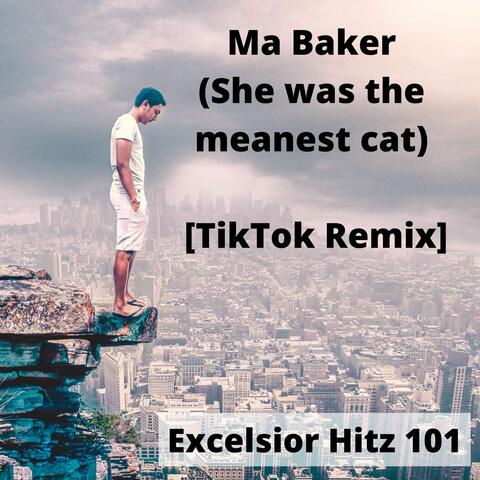 Ma Baker (She was the meanest cat) [TikTok Remix]