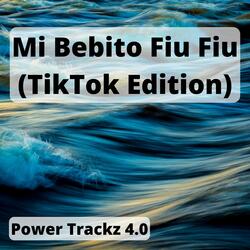Mi Bebito Fiu Fiu (TikTok Edition)