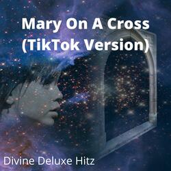 Mary On A Cross (TikTok Version)
