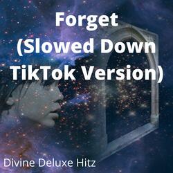 Forget (Slowed Down TikTok Version)