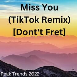 Miss You (TikTok Remix) [Dont't Fret]
