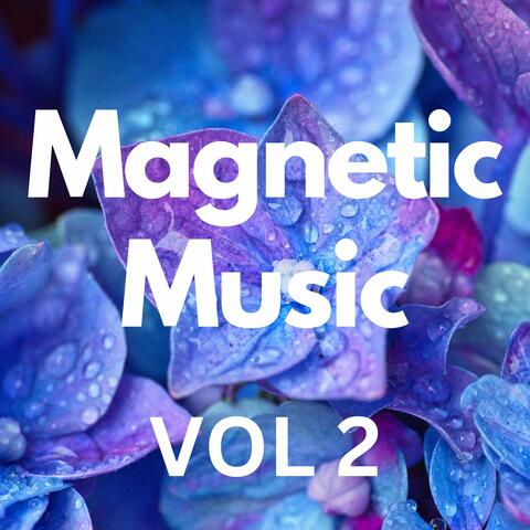 Magnetic Music Vol 2