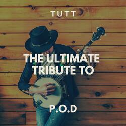 Set It Off (Originally Performed By P O D ) (POD)