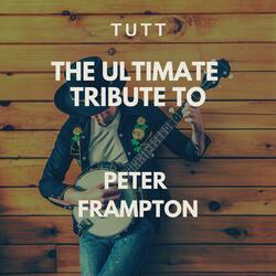 Show Me The Way (Live version) (Instrumental Version Originally Performed By Peter Frampton)