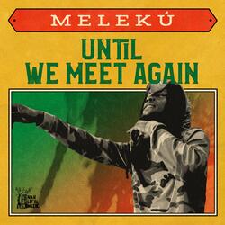 Until We Meet Again