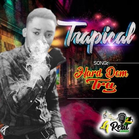 Hard Dem Try