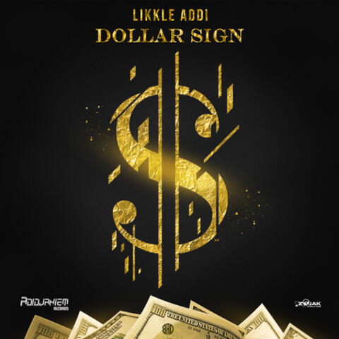 Dollar Sign- Single