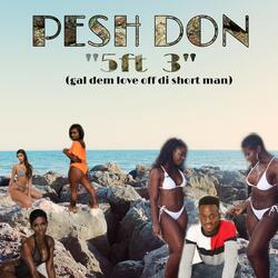 5ft 3" ( Gal Dem Love Off Di Shortman)