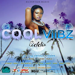 Cool Viibz Instrumental
