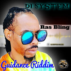 Di System