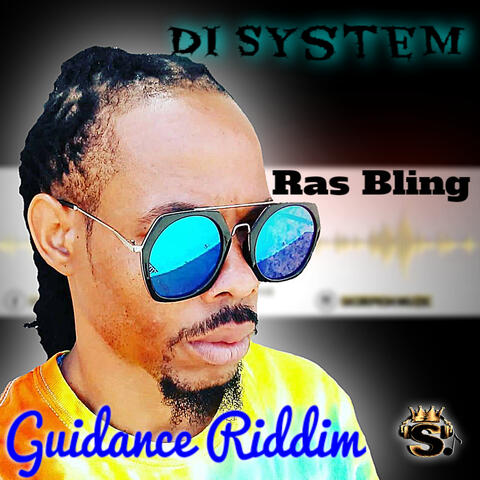 Di System