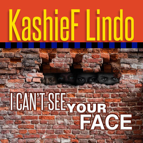 I Can't See Your Face