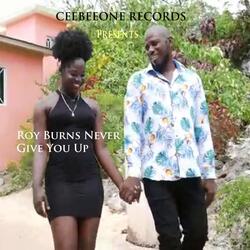 Never Give You Up
