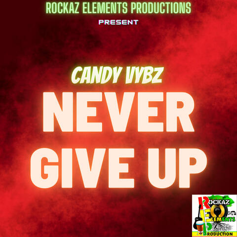 Never Give Up