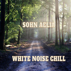 White Noise Chill