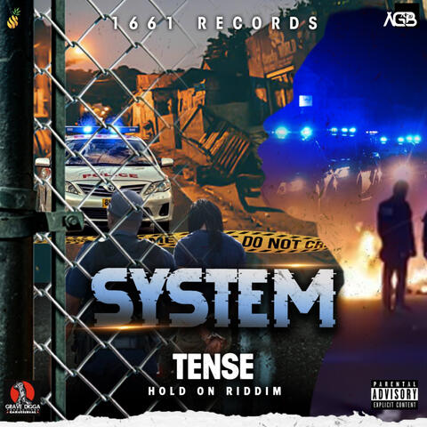 System