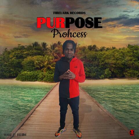 Purpose