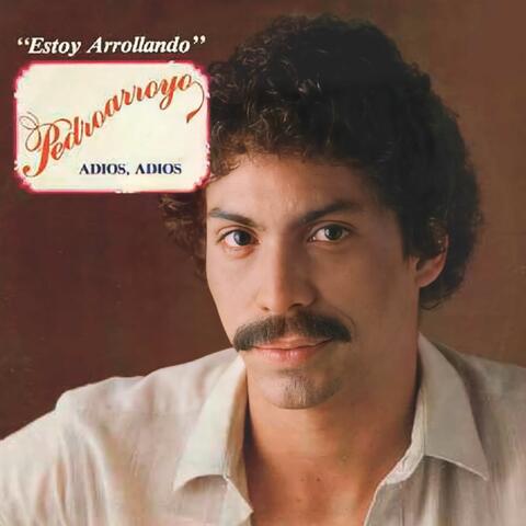 Estoy Arroyando