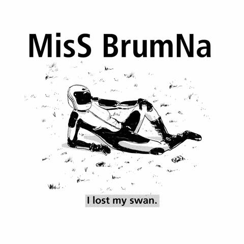 I Lost My Swan