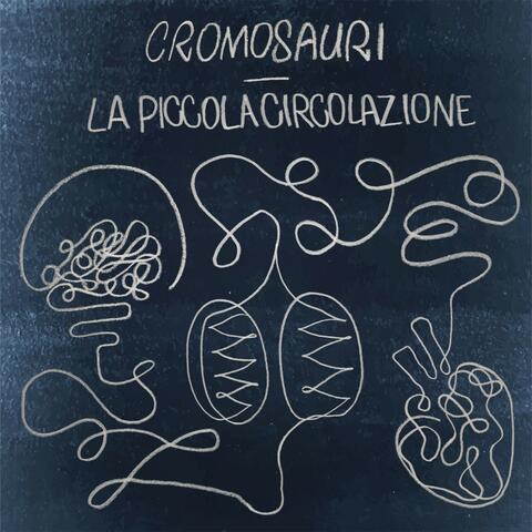 La piccola circolazione