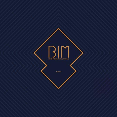 BIM#1