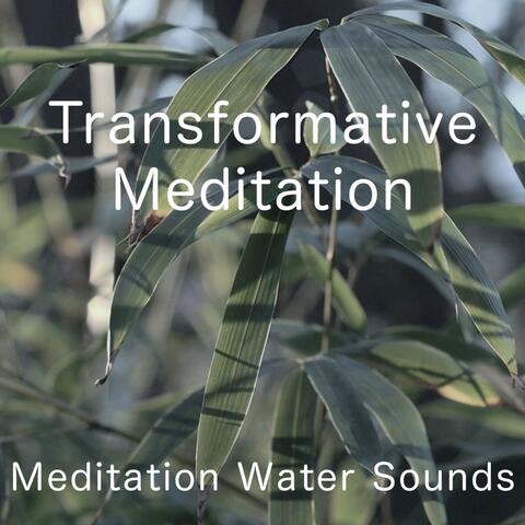 Transformative Meditation