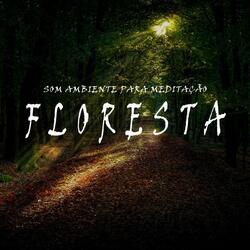 Som Ambiente para Meditação: Floresta, Pt. 34
