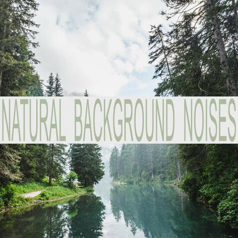 Natural Background Noises