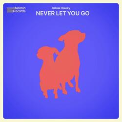 Never Let You Go