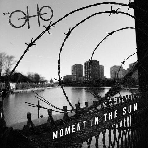 Moment in the Sun