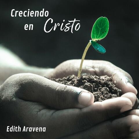 Creciendo en Cristo