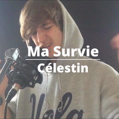 Ma survie