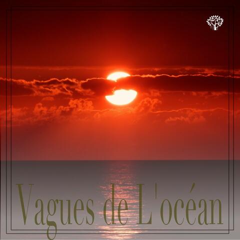 Vagues de l'océan