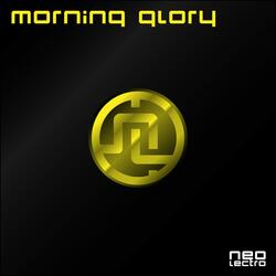 Morning Glory