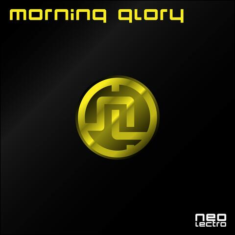 Morning Glory