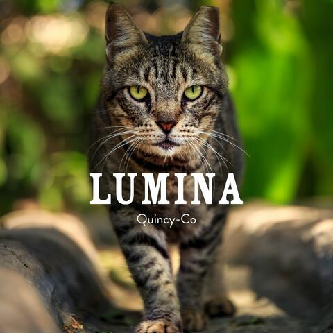 Lumina