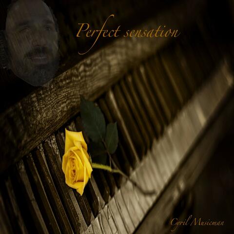 Perfect Sensation