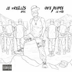 Le treillis avec une plume