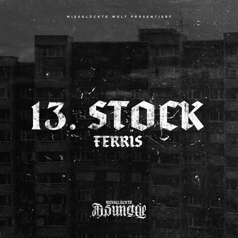 13. Stock