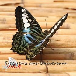 Weihnachten bin ich daheim