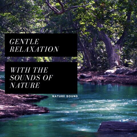 Gentle Relaxation with the Sounds of Nature