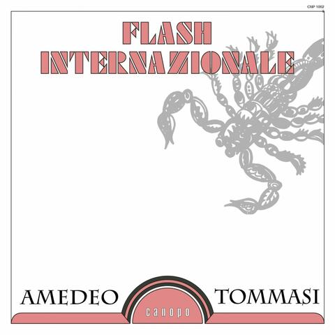 Flash internazionale