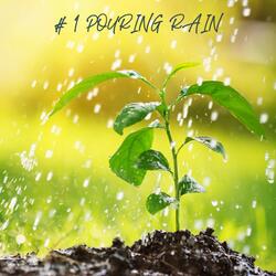 Relaxing Rain
