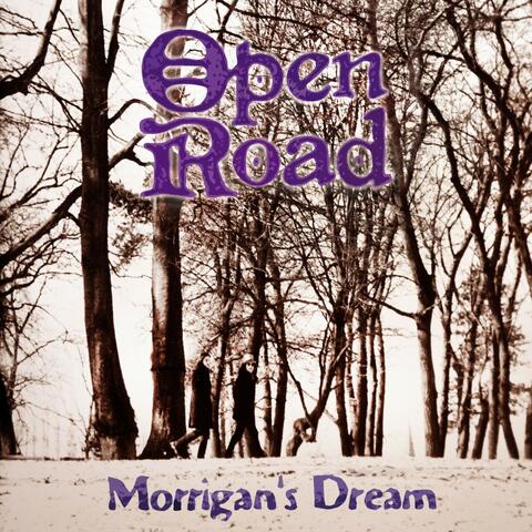 Morrigan's Dream