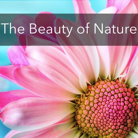 The Beauty of Nature