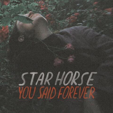 Star Horse