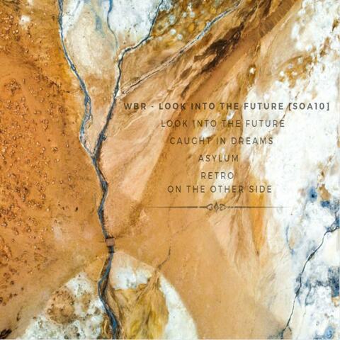 Look into the Future